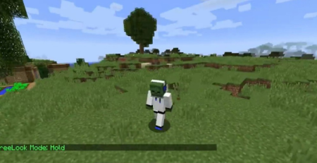  FreeLook  Minecraft 1.18.1