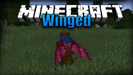  Winged  Minecraft 1.17.1