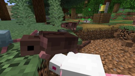  Rats Mischief  Minecraft 1.18