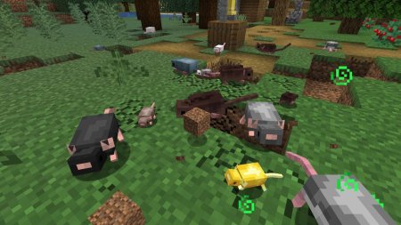  Rats Mischief  Minecraft 1.18