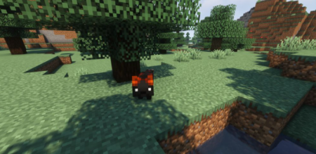  Shadews Foxes  Minecraft 1.18