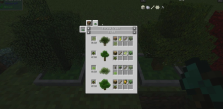  Bonsai Trees  Minecraft 1.18