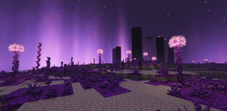  Plus The End  Minecraft 1.17.1