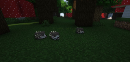  Hedgehogs  Minecraft 1.18