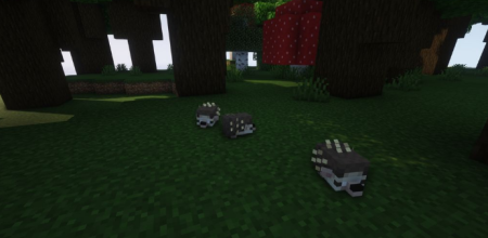  Hedgehogs  Minecraft 1.18