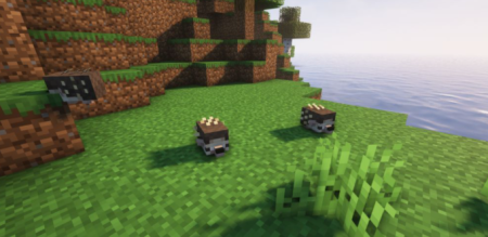  Hedgehogs  Minecraft 1.18.1