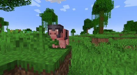  ArmouredAnimals  Minecraft 1.18