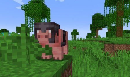  ArmouredAnimals  Minecraft 1.18