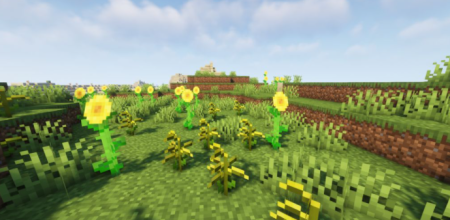  Colorful Expansion Flowers  Minecraft 1.17