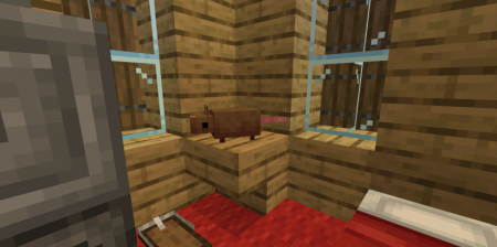  Mouse in house  Minecraft 1.16.4