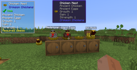  Crimson Chickens  Minecraft 1.16.5