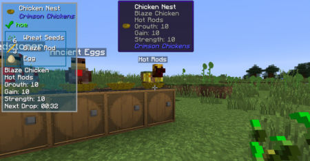  Crimson Chickens  Minecraft 1.16.5