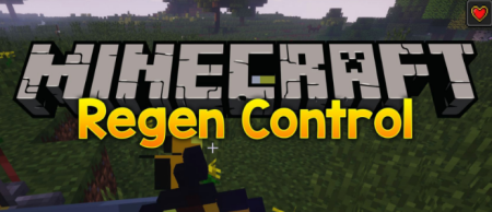  Regen Control  Minecraft 1.17.1