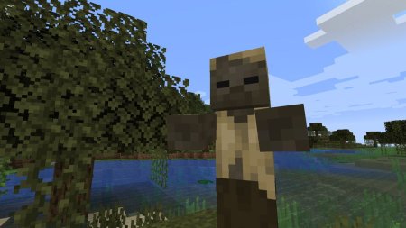  Husk Spawn  Minecraft 1.18.1