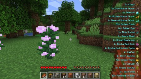  Pick Up Notifier  Minecraft 1.18.1