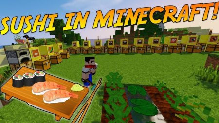  Sushi  Minecraft 1.17