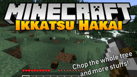  IkkatsuHakai  Minecraft 1.18.1