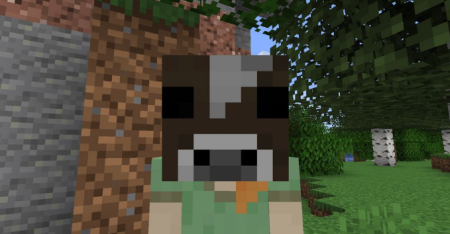  Masks Hats  Minecraft 1.17.1