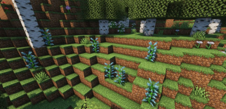  Nature Expansion  Minecraft 1.17.1