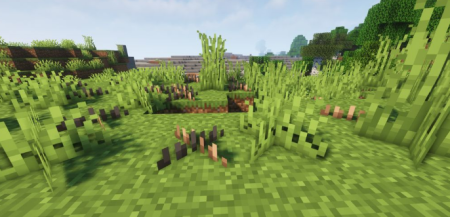  Nature Expansion  Minecraft 1.17.1