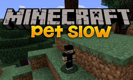  Pet Slow  Minecraft 1.18.1