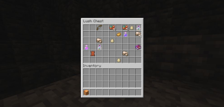  Probably Chests  Minecraft 1.18.1