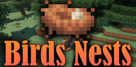  Birds Nests  Minecraft 1.18.1