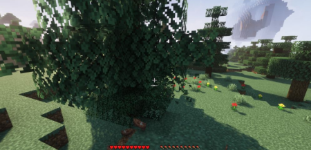  Birds Nests  Minecraft 1.18.1