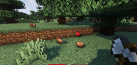  Birds Nests  Minecraft 1.18.1