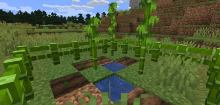  Bamboo Everything  Minecraft 1.18.1