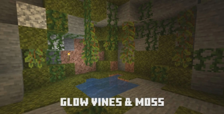  Caves & Cliffs Backport  Minecraft 1.15.2