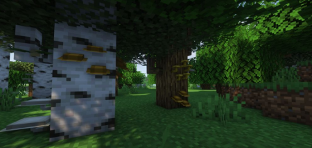  Natural Decoration  Minecraft 1.18.1