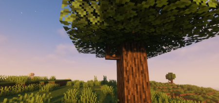  Natural Decoration  Minecraft 1.18.1