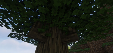  Natural Decoration  Minecraft 1.18.1