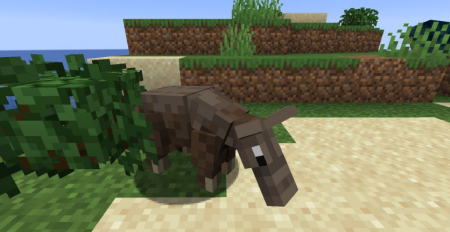  Untamed Wilds  Minecraft 1.18.1