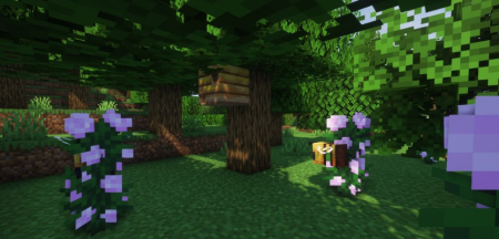  Beenfo  Minecraft 1.18.1