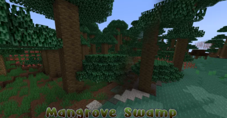  Amazing Biomes  Minecraft 1.18.1