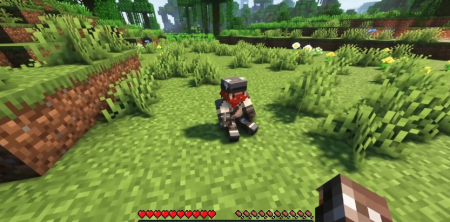  MiniMePets  Minecraft 1.18.1