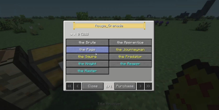  Titles  Minecraft 1.16.4