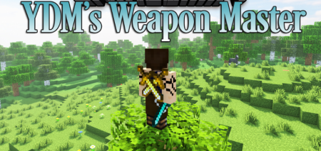  YDMs Weapon Master  Minecraft 1.18.1