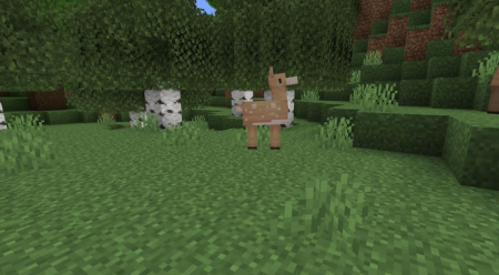  Goodall  Minecraft 1.18.1