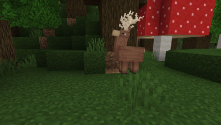  Goodall  Minecraft 1.18.1