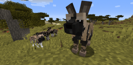  Zoo and Wild Animals: Evolved (ZAWA)  Minecraft 1.16.4