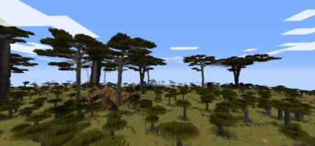  Tans Huge Trees  Minecraft 1.16.4