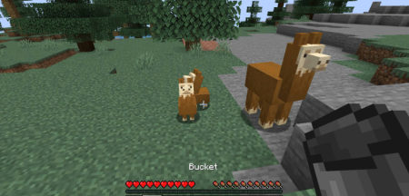 Get In The Bucket  Minecraft 1.18.1