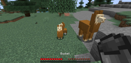  Get In The Bucket  Minecraft 1.18.2