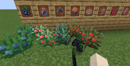  Wildberries  Minecraft 1.18.1