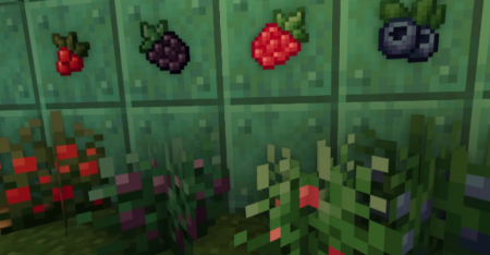  Wildberries  Minecraft 1.18.1