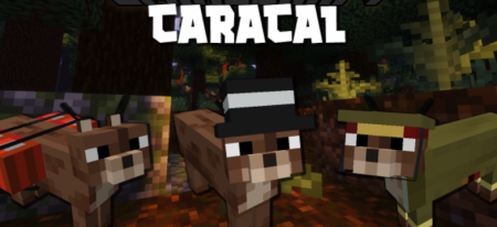  Caracal  Minecraft 1.18.2