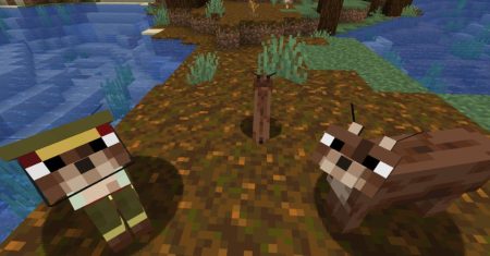  Caracal  Minecraft 1.18.2